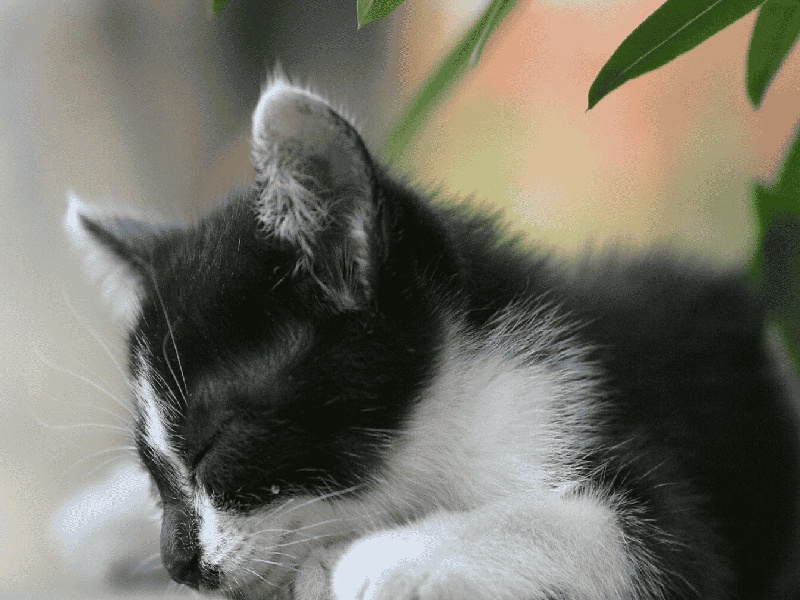 王女士成功案例